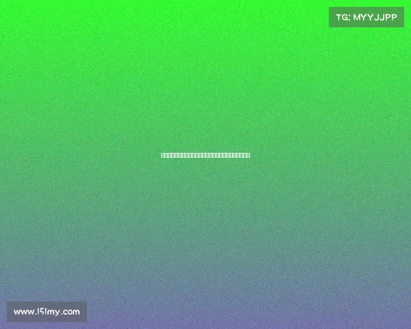 法尔克：金玟哉希望通过剩余季前赛评估自己能否获得重用